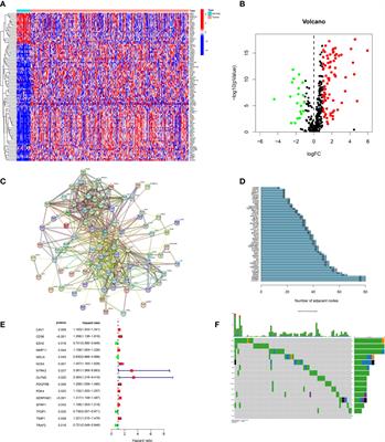 Development of anoikis-related genes signature to predict the prognosis in gastric cancer patients